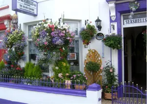 Image of Seashells Guest House