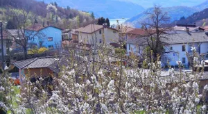 Image of Ristorante Pensione Novaggio