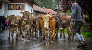 Image of Ferienwohnung Zobl