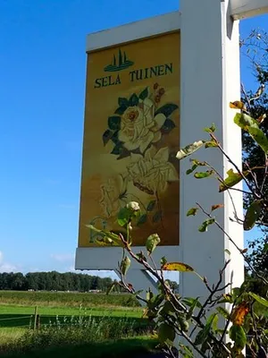 Image of Selatuinen