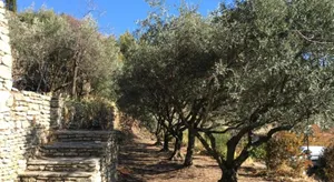 Image of Location Bonnieux Provence