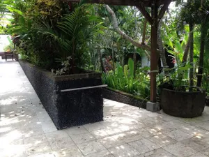 Image of Anginsepoi