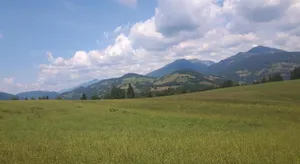 Image of Ferienhütte Troadkostn