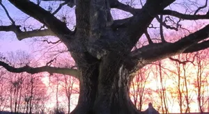 Image of Hof Grafeneiche