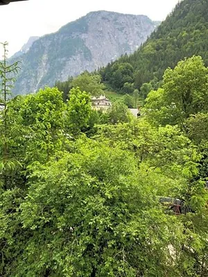 Image of Fenix Hall Boutique Hotel Hallstatt