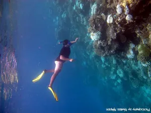Image of Five Senses Pearl Guest House