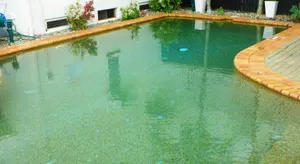 Image of Inner City Oasis