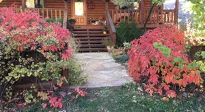 Image of Canyon Wren Bed and Breakfast