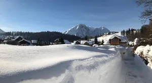 Image of Das Heinz