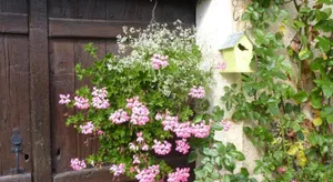 Image of Maison à la Campagne