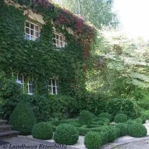 Image of Landhaus Ettenbühl Bed and Breakfast