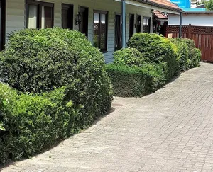 Image of Motel