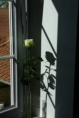 Image of Le loft du Clos d'Esquay