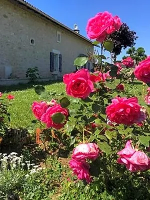 Image of Chez Jumaine