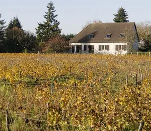 Image of Chez Lucie en Touraine
