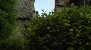 Image of Lou Paran "Le Jardin"