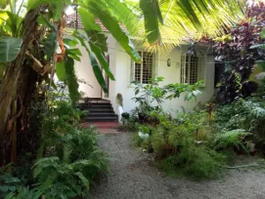 Image of Coconut Grove