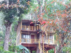 Image of Jungle Jive Treehouse and Farm house