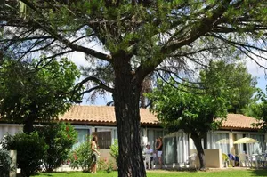 Image of Goélia Le Mas Blanc