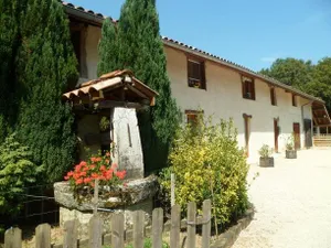 Image of le paradis vert