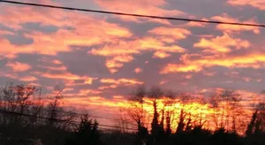 Image of A CLAIR MATIN