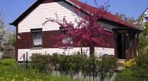 Image of Waldblick