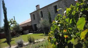 Image of MAS CAMBEL