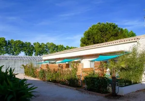 Image of Les Hirondelles