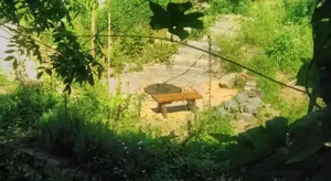 Image of Gästewohnung im Naturgarten Nähe Steinhuder Meer