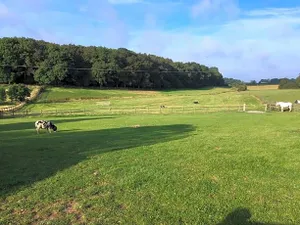 Image of The Grange Silverstone
