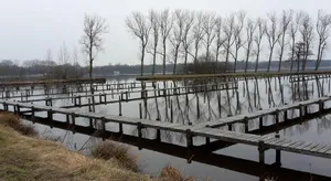Image of Pier 213