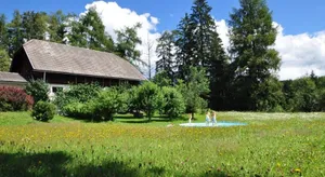 Image of fanning 91 (zur Veitlerin)