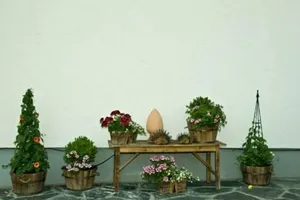 Image of Appartment Bergheim