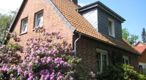 Image of Boer