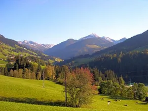 Image of Hotel Andreas