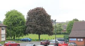 Image of Chellaston Residence