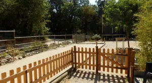 Image of Gîte des lavandes