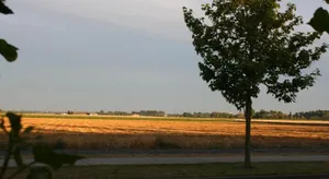 Image of Vakantienestje