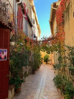 Image of L'echapee Mer