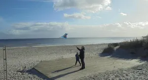 Image of Ostseemuschel