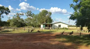 Image of Charleville Bush Cottage
