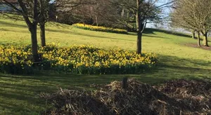 Image of Magna Combe Fields