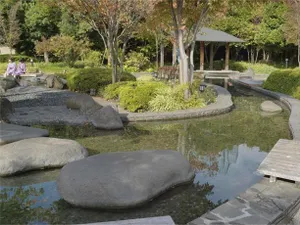 Image of Ooedoonsen Monogatari