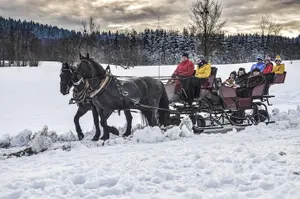 Image of Aldiana Club Ampflwang