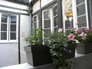 Image of Les Tilleuls de Monge