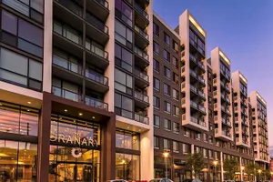 Image of Stay Alfred at The Granary