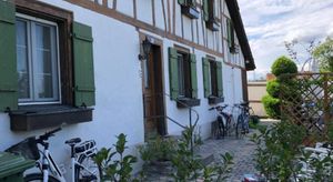 Image of Cozy apartment close to Zurich Airport and City