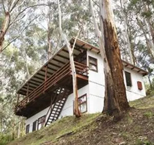 Image of The Treehouse