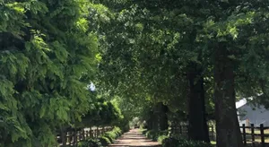 Image of Oak Lane Guest House & Farm Stay