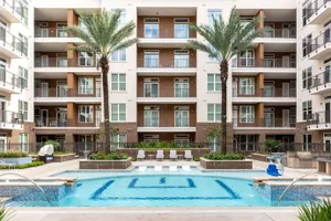 Image of Stay Alfred at 1711 Caroline